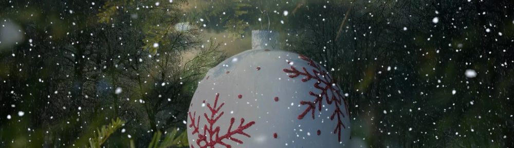 🎄✨ Weihnachtsfeier bei der Pittermanns Scholl ✨🎄