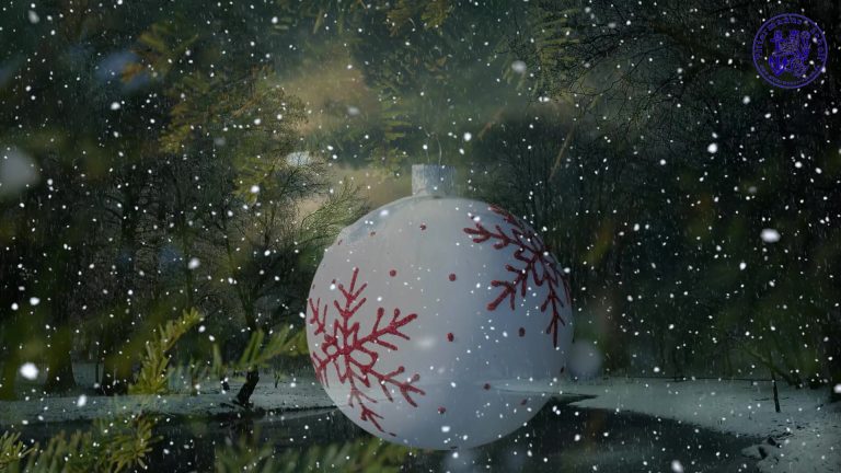 🎄✨ Weihnachtsfeier bei der Pittermanns Scholl ✨🎄